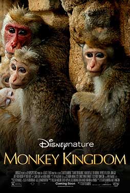 Monkey-Kingdom-51