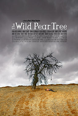 The-Wild-Pear-Tree-54