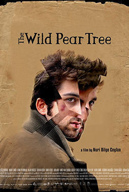The-Wild-Pear-Tree-55