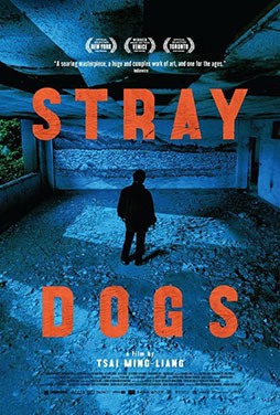 Stray-Dogs-2013-50