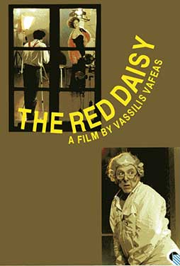 The-Red-Daisy-55