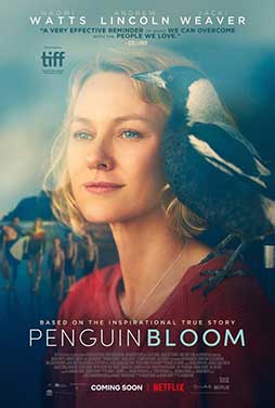 Penguin-Bloom-51 Penguin-Bloom-51