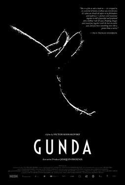 Gunda-2020-51