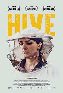 Hive-2021-50