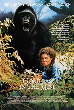 Gorillas-in-the-Mist-51