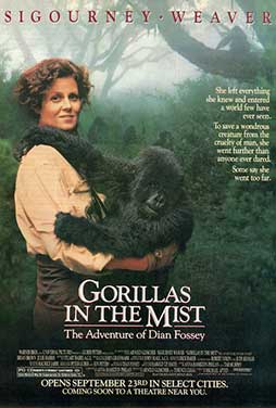 Gorillas-in-the-Mist-53
