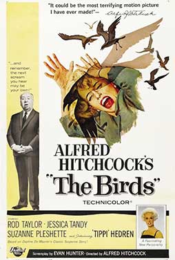 The-Birds-1963-51