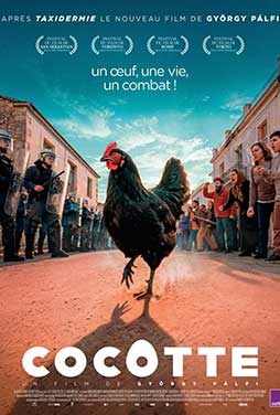 Hen-2025-53 Hen-2025-53