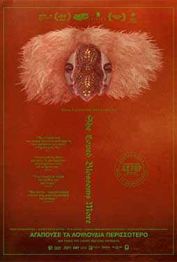 Διαθέσιμη έως 04/06/2026