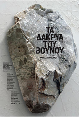Διαθέσιμη έως 28/01/2027